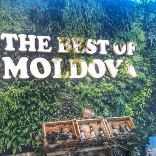 Логотип @sestrytokarevy - Mamalyga