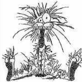 Логотип @setlejo - Поселковый сисадмин