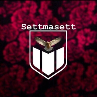 Логотип @settmaset - Settmasett