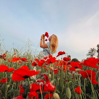 Логотип @sevastopol_diary - Крымский дневник