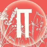 Севкабель Порт / Sevkabel Port