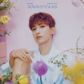 Логотип @seventeen_dk - Lee Seokmin • 이석민