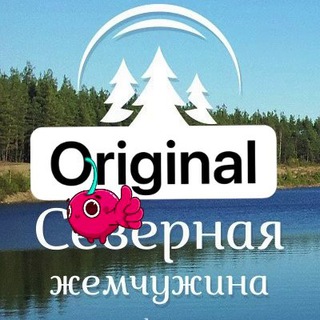 Логотип @severnayachemchu - Северная Жемчужина СНТ