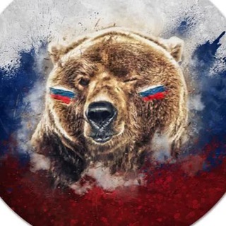 Логотип @severz51 - Север Z ⚓️