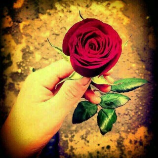 Логотип @sevgi_77777 - ❣️ Тσлькσ τы υ я ❣️