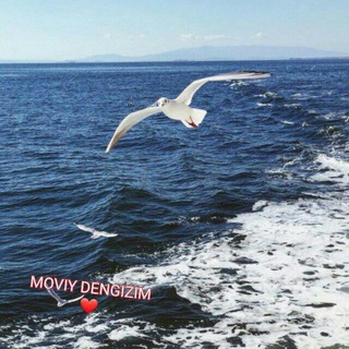Логотип @sevma_yurakk - S