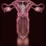 Логотип @sexlieqi - 猎奇 性癖 重口 频道 【SEXlieqi】