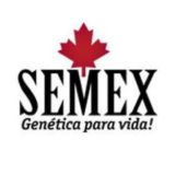 Логотип @sexmex_originals2 - sexmex_originals2