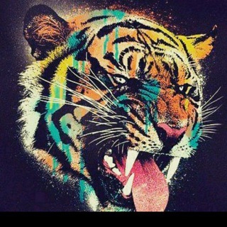 Логотип @sexologpro - BOSSVIDOS