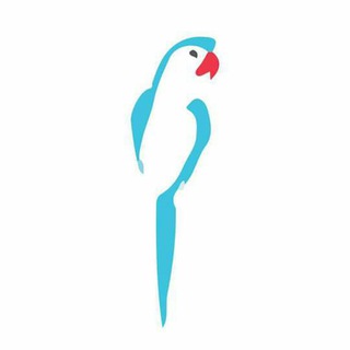 Логотип @sexual_cultures - Sexual Сulture