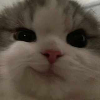 Логотип @sexxstasymusic - sexxstasy