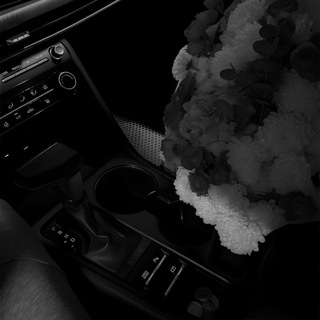 Логотип @sfrfmm - SAFARI