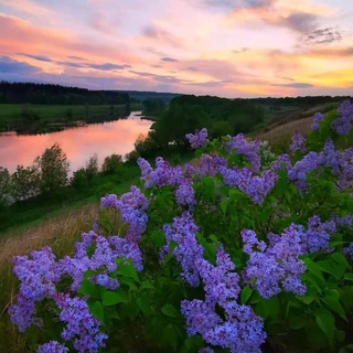 Логотип @sfthjjk - [Обои]--общение--