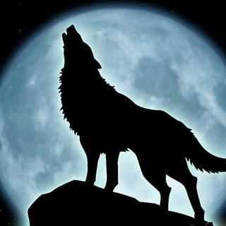 Логотип @sfwfurryfuzzbutts - SFW Furry Fuzzbutts // Furry chat