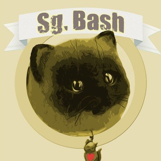 Логотип @sgbash - Sg. Bash RYTP