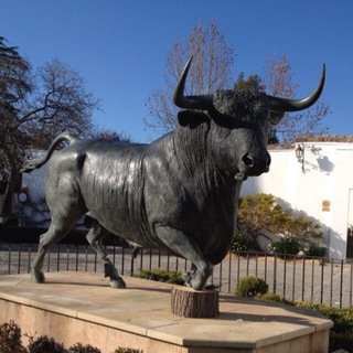 Логотип @sgcapital - Капитал