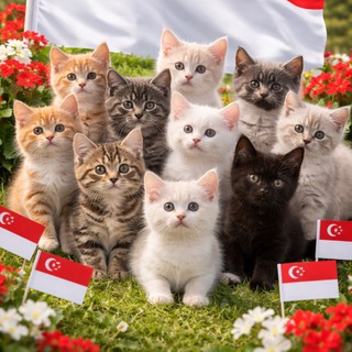 Логотип @sgcatadoption - Kitten and Cat Singapore