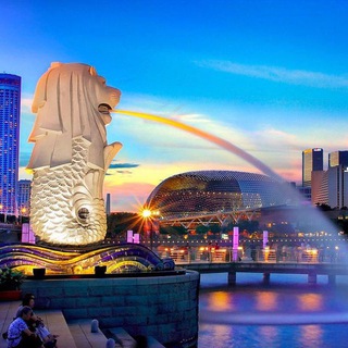 Логотип @sgdistributor - Singapore Distributor