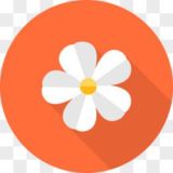 Логотип @sgkvipbot - 花花免费全球机器人