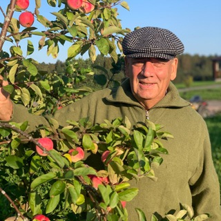 Логотип @sgmitin - Митин Сергей