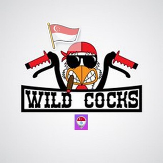 Логотип @sgmotorbike - 🇸🇬🛵 Singapore Bikers