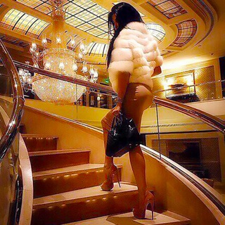 Логотип @sgvnova - All about beauty and fashion. SGV-NOVA EU : Cosmetics, Manicure, Eyelash, Makeup accessories and tools in Europa