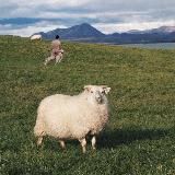 Логотип @sha_horny - хикисники порні