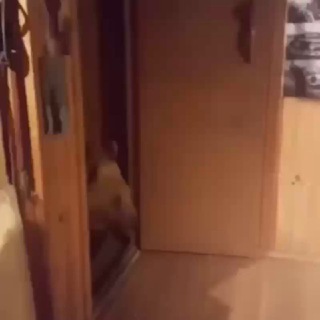 Логотип @shablonyeurofuntaydi - шаблоны евро, фунт, ауди по авторской системе