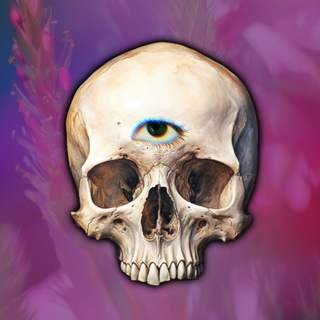 Логотип @shadowbabesshop - 𝖘𝖍𝖆𝖉𝖔𝖜𝖇𝖆𝖇𝖊𝖘