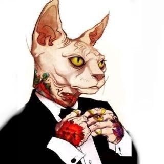 Логотип @shadows_of_freedom - Shadows of freedom