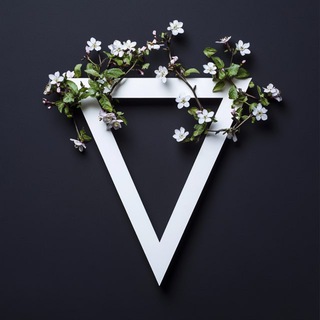 Логотип @shadowsocks_channel - ShadowSocks 🥋