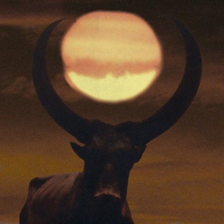 Логотип @shadowsofthefun - Shadows of the Fun
