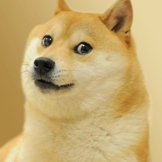 Логотип @shaggychilla - Kotiki_and_apocalypse🍄