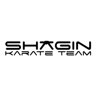 Логотип @shaginteam - SHAGIN_TEAM🥇
