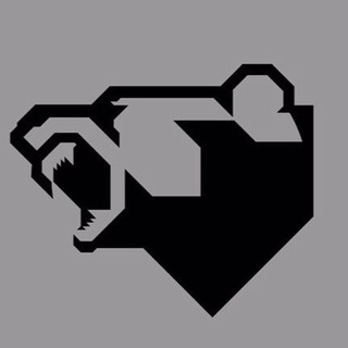 Логотип @shalnyak - SHALNYAK