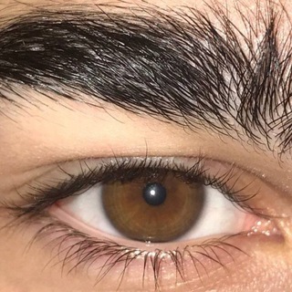 Логотип @shamil_kawewov - Музыка для души🦋❤️