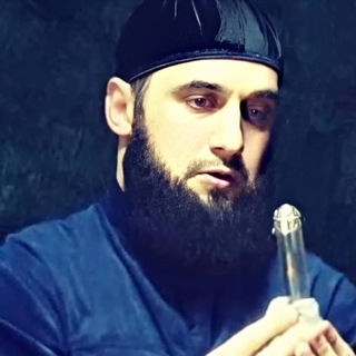 Логотип @shamil_shafi1iy - shamil_shafi1iy