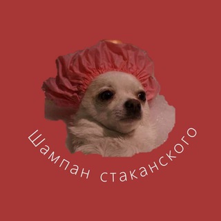 Логотип @shampan_stakanscogo - Шампан стаканского