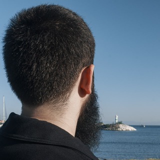 Логотип @shamseeblog - Shamsee