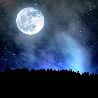 Логотип @shamshat_sera - «Шамшат сера»