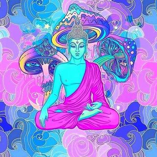 Логотип @shandorumm - Shandorum