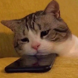 Логотип @shanemogygovorit - Ща не могу говорить