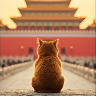 Логотип @shanghai_ru - Shanghai_ru | г. Шанхай, Китай | КНР | 沪