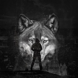 Логотип @shansonnovosti - новости шансона