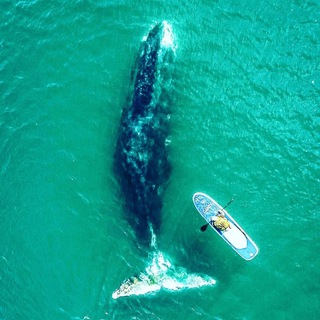 Логотип @shantartravel - shantartravel-путешествия и туризм в России