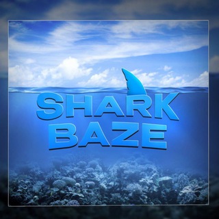 Логотип @shark_baze - Shark Baze