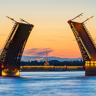 Логотип @shark_in_city_petersburg - SHARK IN CITY | ПЕТЕРБУРГ