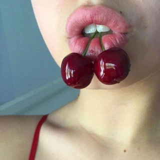 Логотип @shark_premium_vld - gucci.muz13