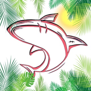 Логотип @shark_trxp - а к у л а
