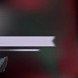 Логотип @sharkexchange88 - SHARK EXCHANGE